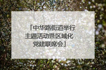 中华路街道举行主题活动暨区域化党建联席会