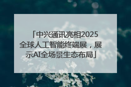 中兴通讯亮相2025全球人工智能终端展，展示AI全场景生态布局