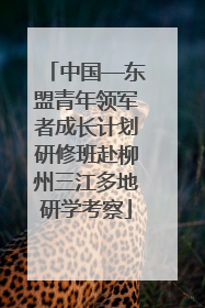 中国—东盟青年领军者成长计划研修班赴柳州三江多地研学考察