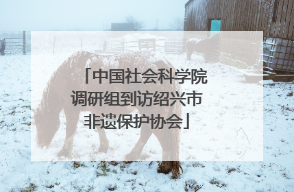 中国社会科学院调研组到访绍兴市非遗保护协会