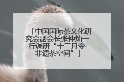 中国国际茶文化研究会副会长张仲灿一行调研“十二月令·非遗茶空间”