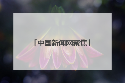 中国新闻网聚焦