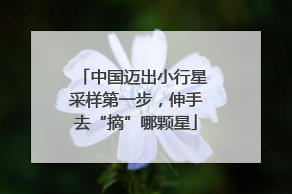 中国迈出小行星采样第一步，伸手去“摘”哪颗星