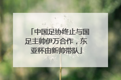 中国足协终止与国足主帅伊万合作，东亚杯由新帅带队