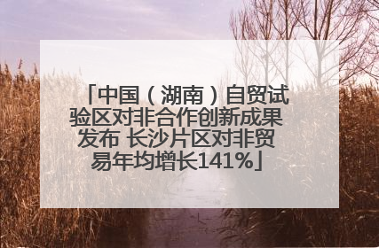中国（湖南）自贸试验区对非合作创新成果发布 长沙片区对非贸易年均增长141%