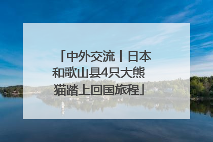 中外交流丨日本和歌山县4只大熊猫踏上回国旅程