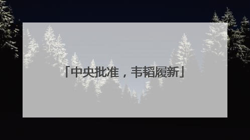 中央批准，韦韬履新