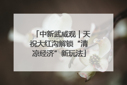 中新武威观｜天祝大红沟解锁“清凉经济”新玩法