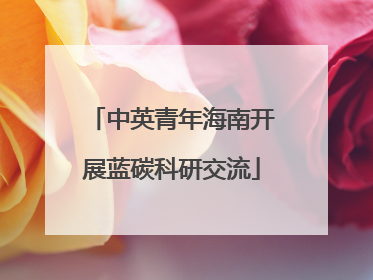 中英青年海南开展蓝碳科研交流
