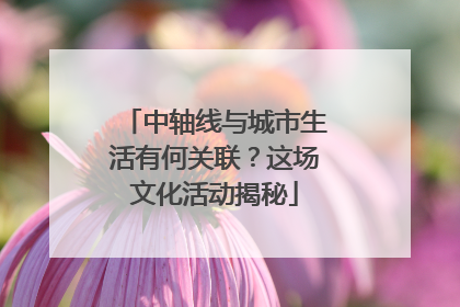中轴线与城市生活有何关联？这场文化活动揭秘