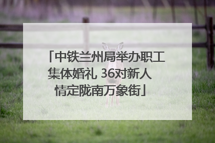 中铁兰州局举办职工集体婚礼 36对新人情定陇南万象街