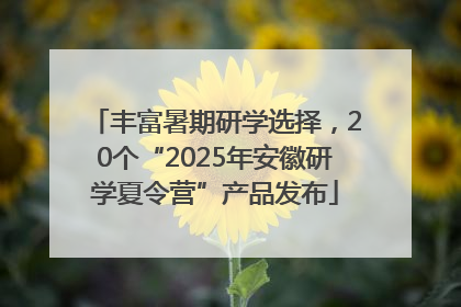 丰富暑期研学选择，20个“2025年安徽研学夏令营”产品发布