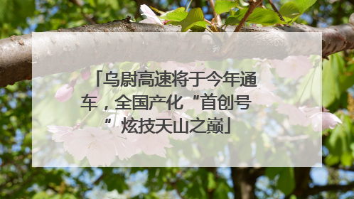 乌尉高速将于今年通车，全国产化“首创号”炫技天山之巅
