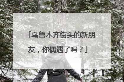 乌鲁木齐街头的新朋友，你偶遇了吗？