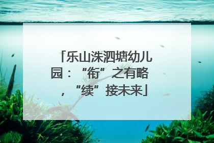 乐山洙泗塘幼儿园：“衔”之有略，“续”接未来
