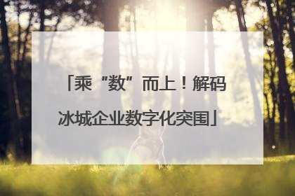 乘“数”而上！解码冰城企业数字化突围