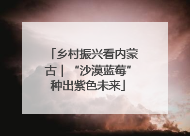 乡村振兴看内蒙古｜“沙漠蓝莓”种出紫色未来