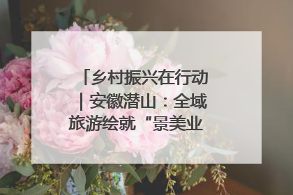 乡村振兴在行动｜安徽潜山：全域旅游绘就“景美业兴民富”新画卷