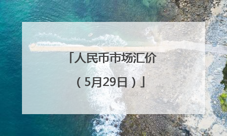 人民币市场汇价（5月29日）