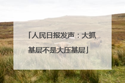 人民日报发声：大抓基层不是大压基层