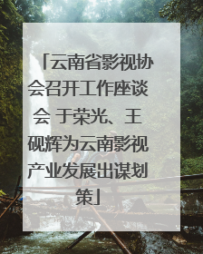 云南省影视协会召开工作座谈会 于荣光、王砚辉为云南影视产业发展出谋划策