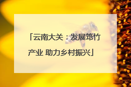 云南大关：发展筇竹产业 助力乡村振兴