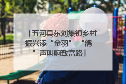 五河县东刘集镇乡村振兴添“金羽” “鸽”声叫响致富路