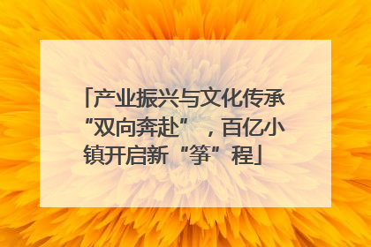 产业振兴与文化传承“双向奔赴”，百亿小镇开启新“筝”程