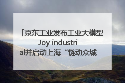 京东工业发布工业大模型Joy industrial并启动上海“链动众城 万亿降本”计划