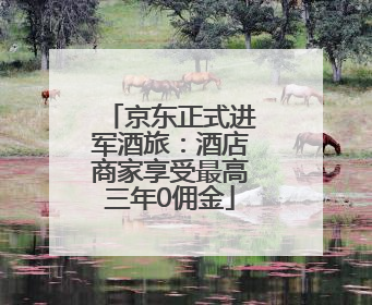 京东正式进军酒旅：酒店商家享受最高三年0佣金