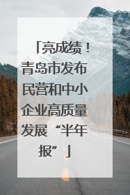 亮成绩！青岛市发布民营和中小企业高质量发展“半年报”