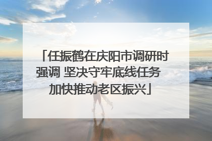 任振鹤在庆阳市调研时强调 坚决守牢底线任务 加快推动老区振兴