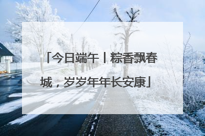 今日端午丨粽香飘春城，岁岁年年长安康