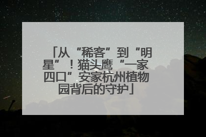 从“稀客”到“明星”！猫头鹰“一家四口”安家杭州植物园背后的守护