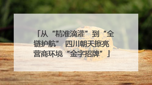 从“精准滴灌”到“全链护航” 四川朝天擦亮营商环境“金字招牌”