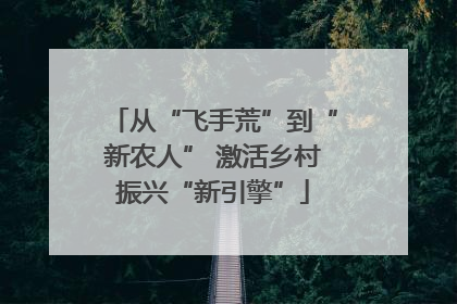 从“飞手荒”到“新农人” 激活乡村振兴“新引擎”