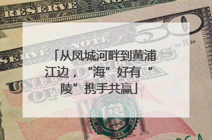 从凤城河畔到黄浦江边，“海”好有“陵”携手共赢