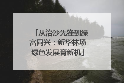 从治沙先锋到绿富同兴：新华林场绿色发展育新机