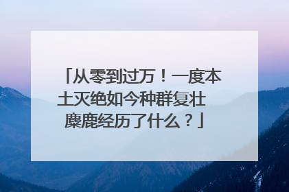 从零到过万！一度本土灭绝如今种群复壮 麋鹿经历了什么？