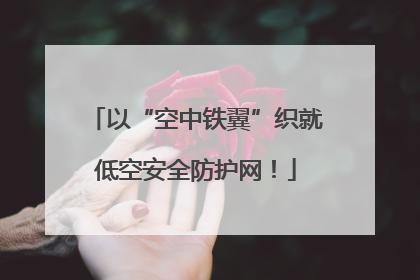以“空中铁翼”织就低空安全防护网！