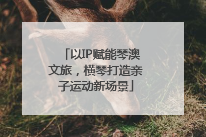 以IP赋能琴澳文旅，横琴打造亲子运动新场景