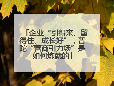 企业“引得来、留得住、成长好”，普陀“营商引力场”是如何炼就的