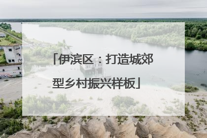 伊滨区：打造城郊型乡村振兴样板