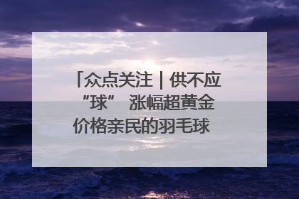 众点关注｜供不应“球” 涨幅超黄金 价格亲民的羽毛球为何身价飞涨？