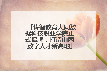 传智教育大同数据科技职业学院正式揭牌，打造山西数字人才新高地