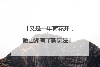 又是一年荷花开，微山湖有了新玩法