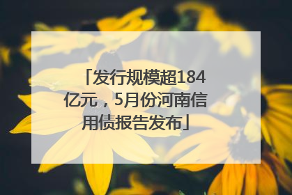 发行规模超184亿元，5月份河南信用债报告发布