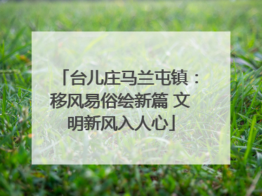 台儿庄马兰屯镇：移风易俗绘新篇 文明新风入人心