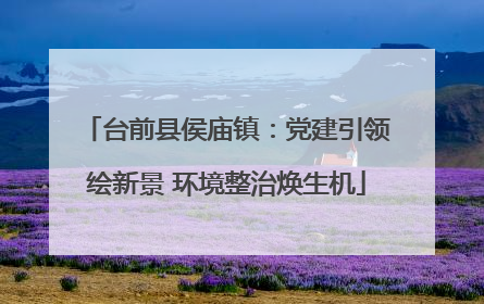 台前县侯庙镇：党建引领绘新景 环境整治焕生机