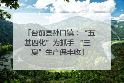 台前县孙口镇：“五基四化”为抓手 “三夏”生产保丰收